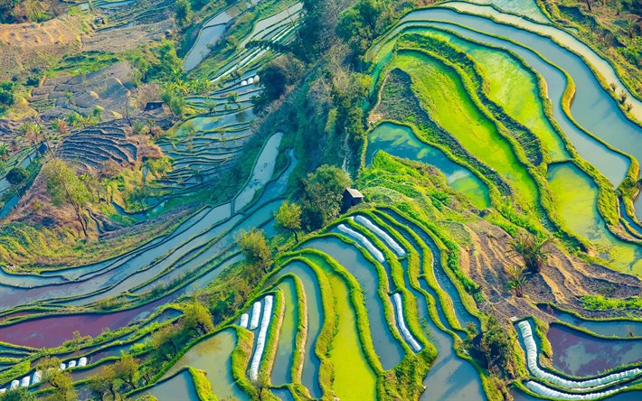 Yuanyang Rice Terraces, China