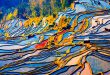 Yuanyang Rice Terraces - The Chinese Rice Terraces of Dreams